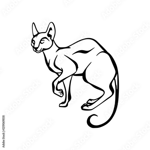 outline vector of a hairless sphynx cat