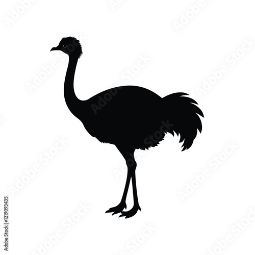 ostrich isolated vector image illustration and artwork on white background
