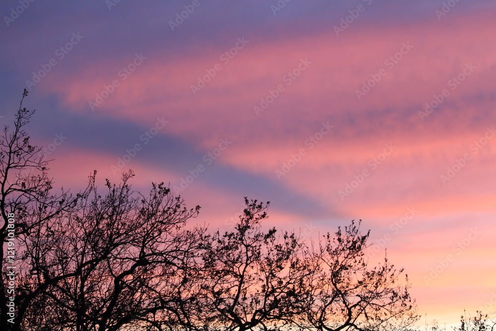 Pink, blue and violet sky with clouds Pink, blue and violet sky with clouds