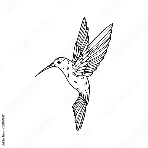 a black and white drawing of a hummingbird in flight