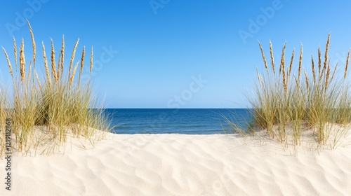 Wallpaper Mural Sunny beach dunes, ocean view, summer vacation Torontodigital.ca