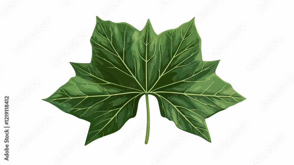 Fototapeta premium Green Natural Leaf Isolated Icon Wide Angle Centered