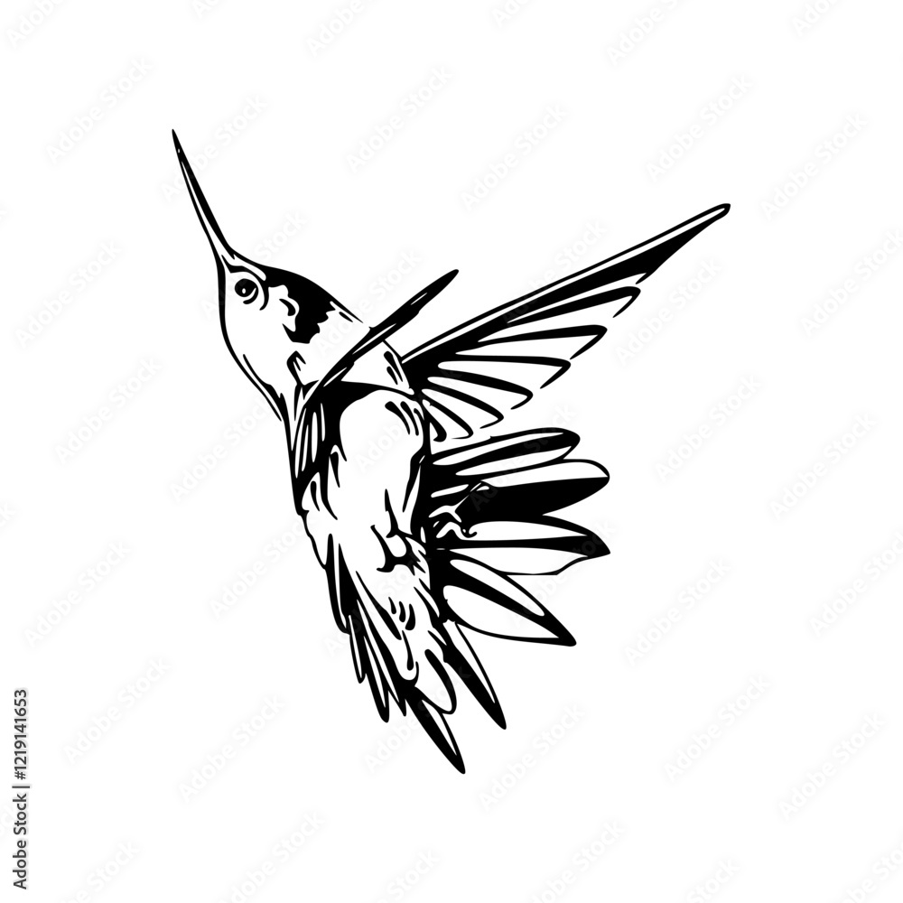 Fototapeta premium vector illustration of a hummingbird