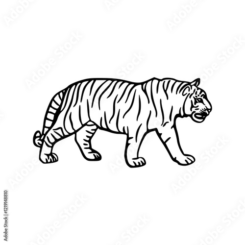 dynamic tiger line art with curled design