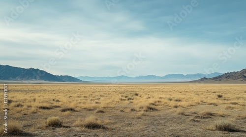 Vast landscapes stretching beyond sight.