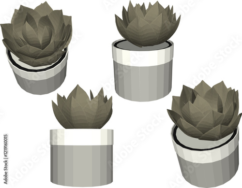 vector illustration of a succulent cactus plant to decorate the interior of the house