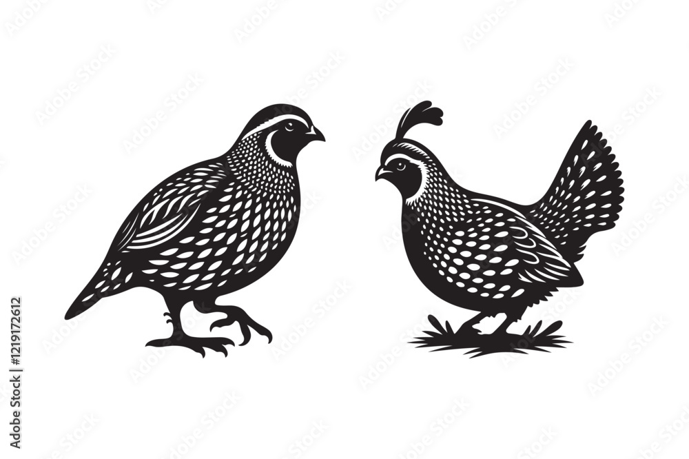 Fototapeta premium Quail Bird Silhouette Vector Illustration