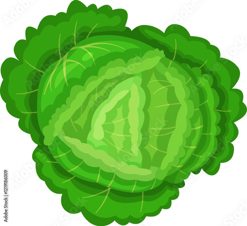 Top view of a vibrant green cabbage, showcasing its intricate leaf patterns and lush color. Perfect for illustrating freshness, healthy eating, and natural produce themes