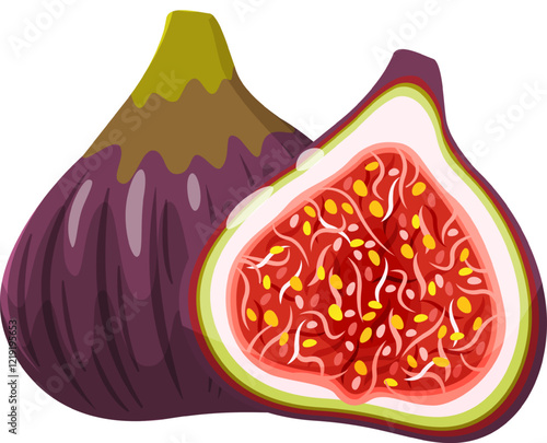 Cartoon illustration featuring a whole fresh fig alongside a halved fig, revealing its vibrant red pulp filled with tiny seeds, all set against a crisp white background