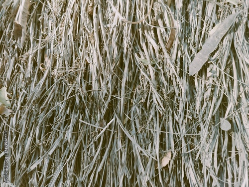 A close-up view of dried grass and leaves, showcasing a natural, textured surface in earthy tones.