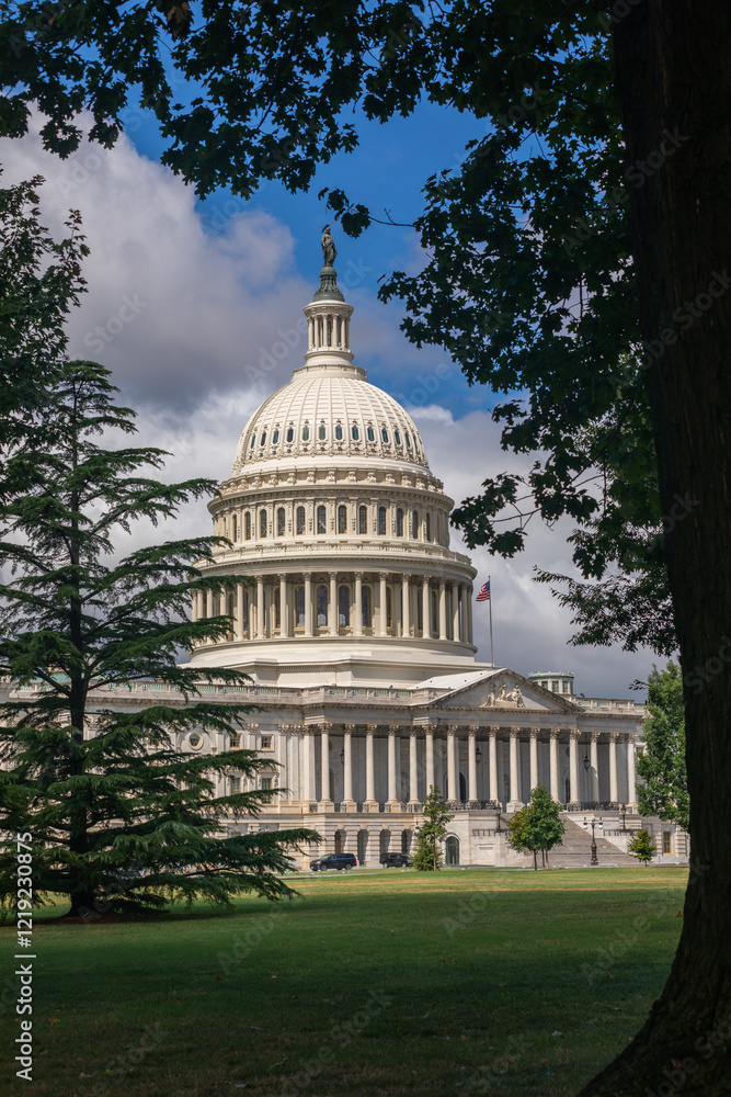 Naklejka premium US Capitol Building in Washington, DC - Partial View on a sunny Summer Day with blue Sky; Trees in Foreground
