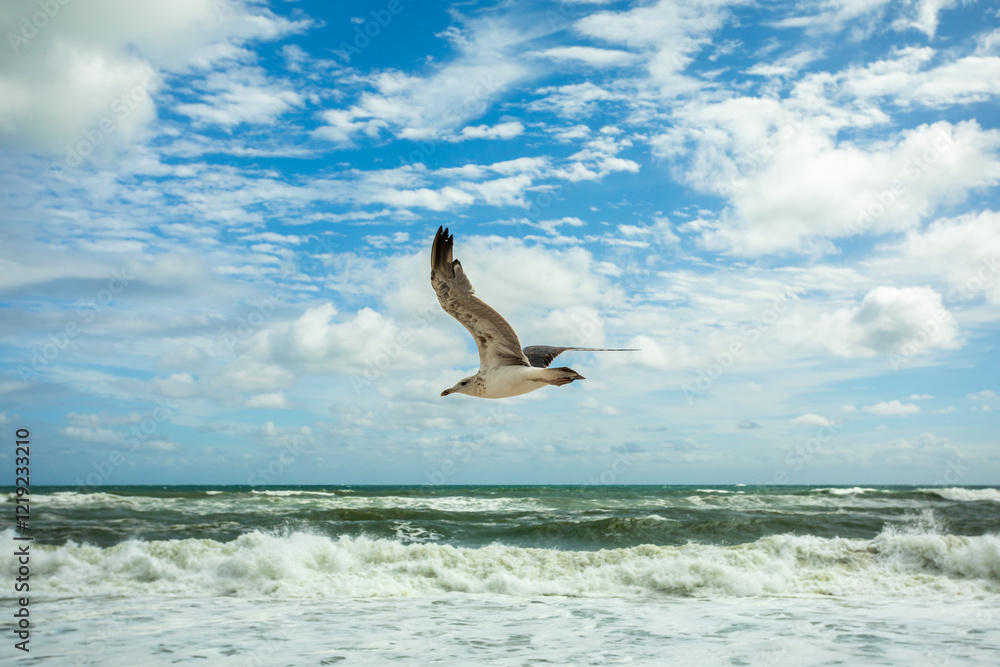 Fototapeta premium Single Seagull inflight passing by, rough Waves crashing ashore and blue Sky with white Clouds in Background, Concept for Freedom; Copy Space