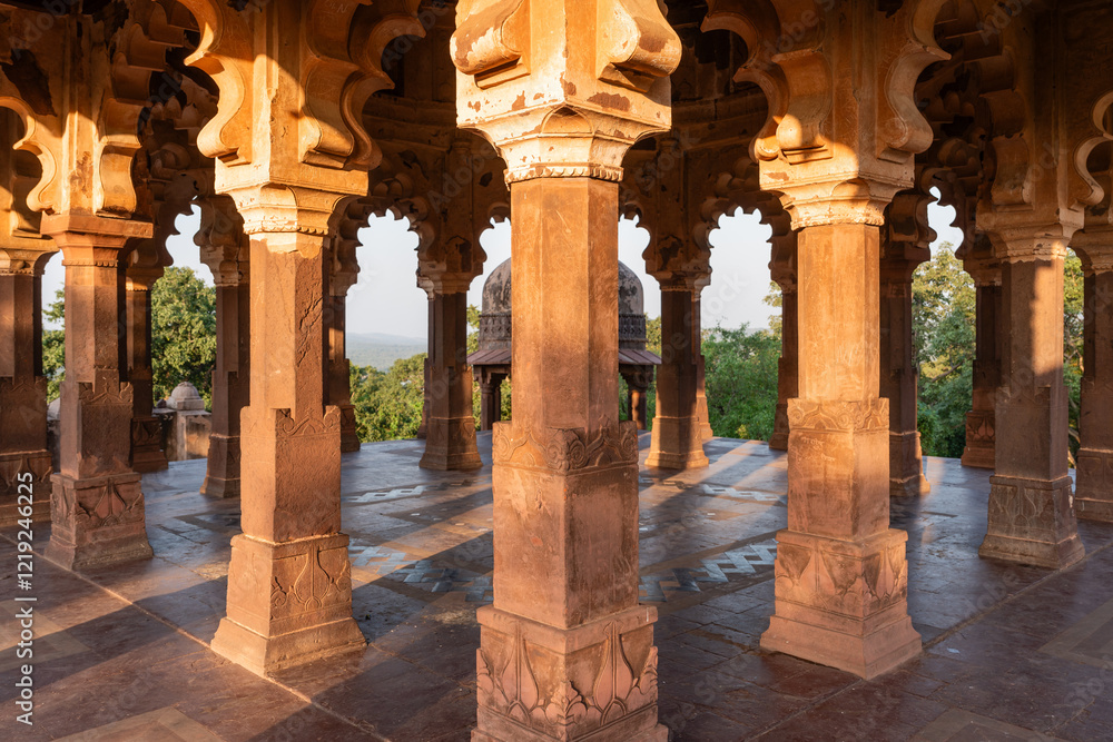 Fototapeta premium Chhatri in Ranthambhor Festung im Ranthambhore Nationalpark