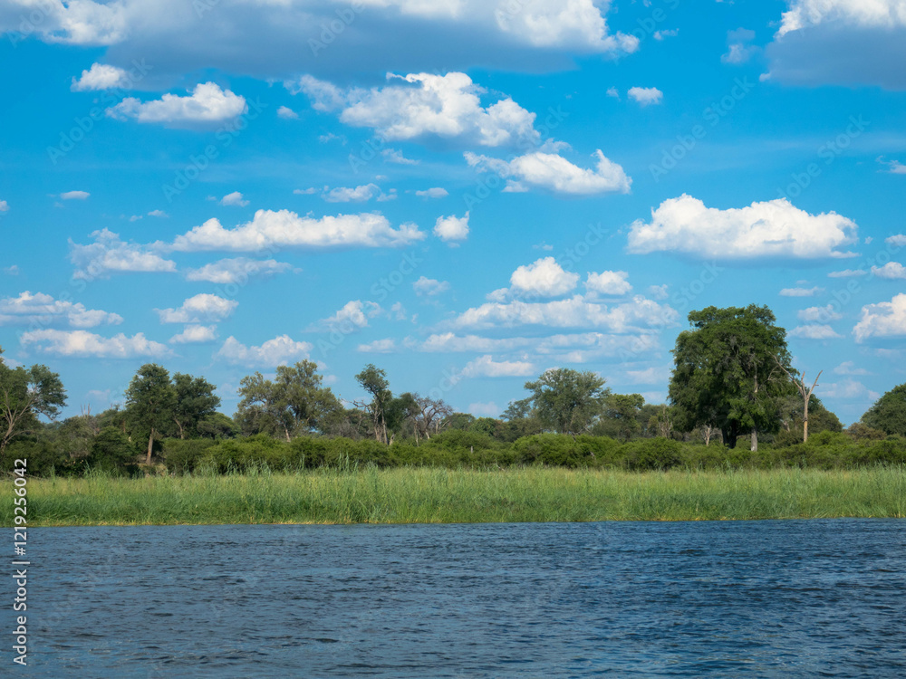 The beautiful Okavango River with many trees on the river bank. Seen on a river cruise. Close to Divundu and Mahango National Park. Namibia, Africa. Tourism and vacation concept. Namibia, Africa.