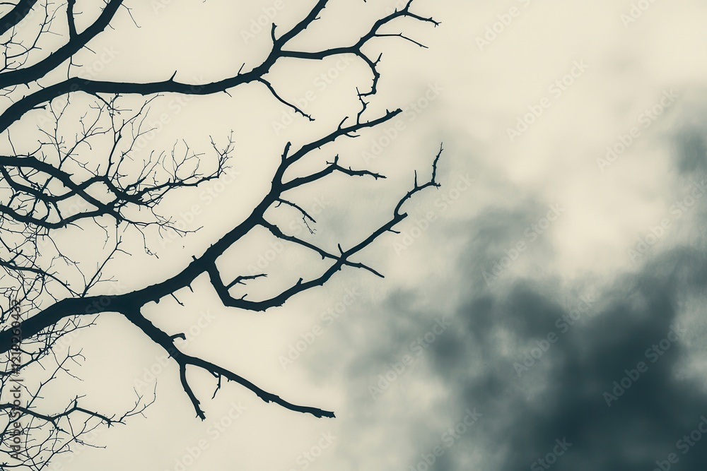 A dark, bare tree branch stretches across a cloudy sky, creating a moody and atmospheric scene. A dark, bare tree branch stretches across a cloudy sky, creating a moody and atmospheric scene.