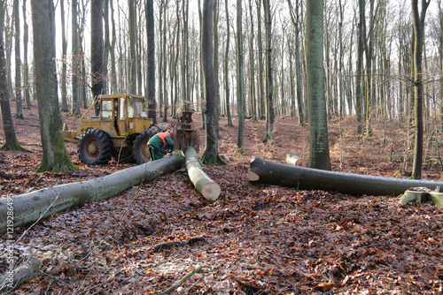 Holzrückung mit Forstschlepper LKT photo