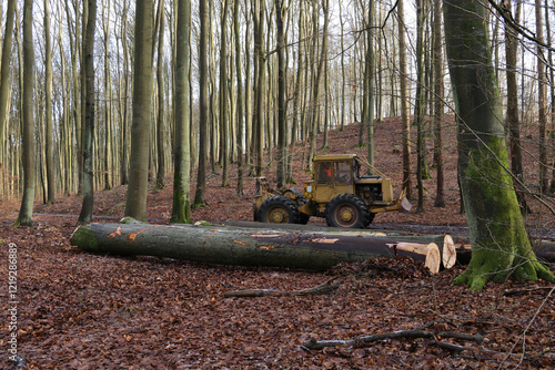 Holzrückung mit Forstschlepper LKT photo