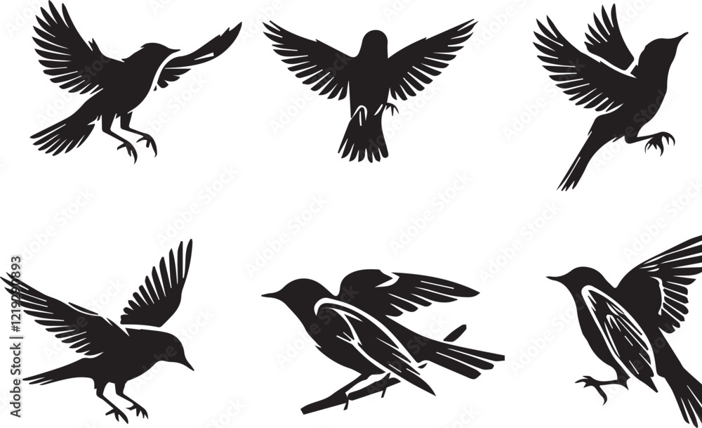 Obraz premium set of silhouettes of birds on white background