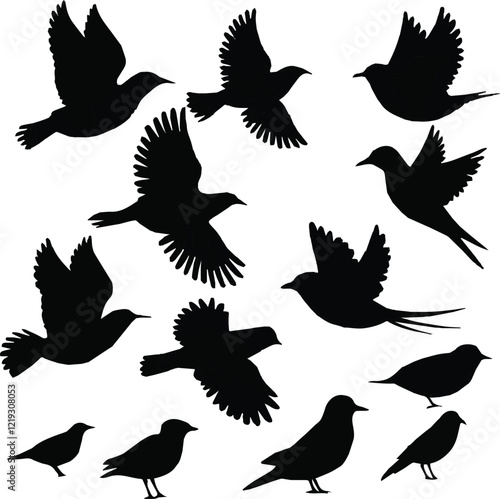 silhoutte brid