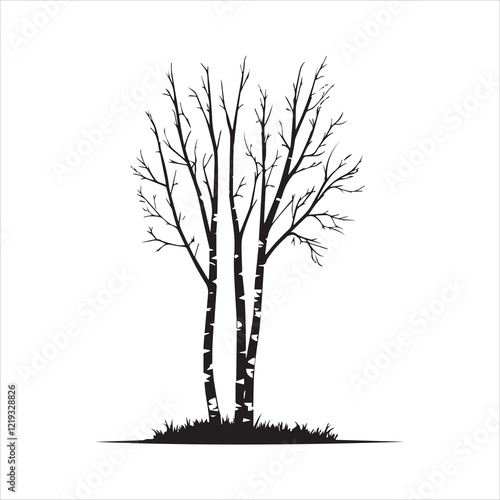 Silhouette of three bare birch trees in a grassy area.