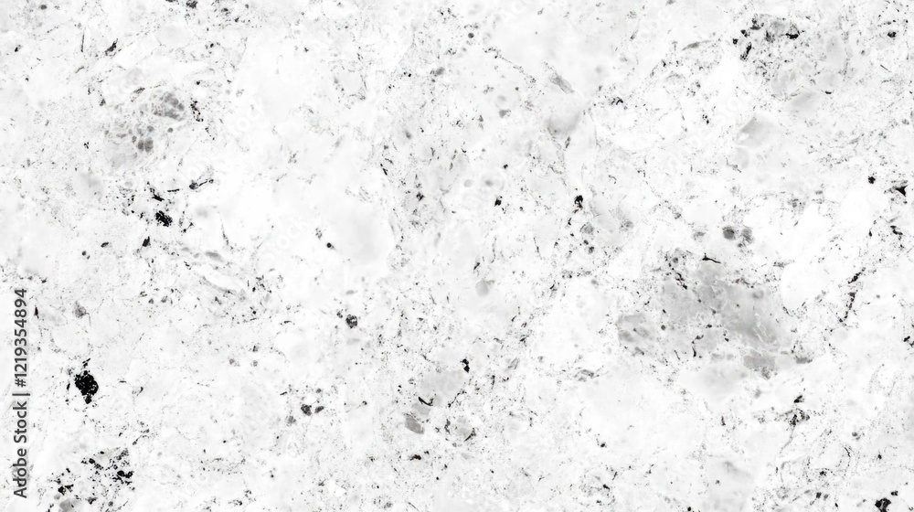 A black and white photo of a snowy ground with a peaceful winter landscape A black and white photo of a snowy ground with a peaceful winter landscape