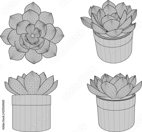 vector illustration of a succulent cactus plant to decorate the interior of the house 