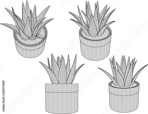 vector illustration of a succulent cactus plant to decorate the interior of the house 