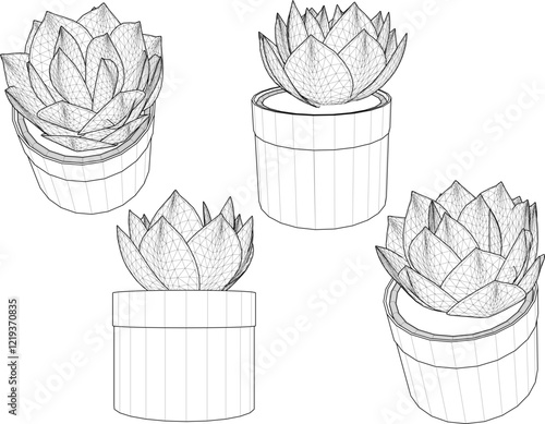 vector illustration of a succulent cactus plant to decorate the interior of the house  