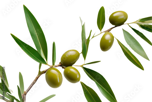 Wallpaper Mural Isolated Green Olives with Leaves on White Background
 Torontodigital.ca