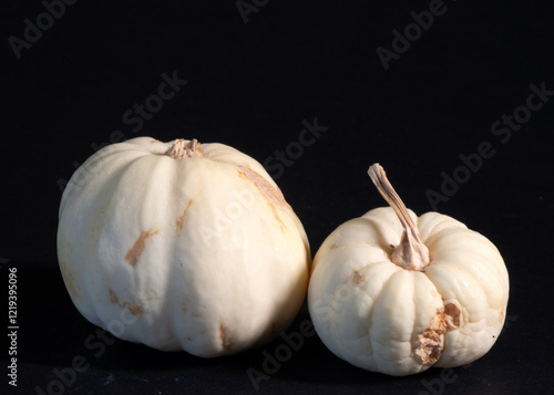 still life with white pumpkins, close-up of a decorative pumpkin, pronounced texture photo