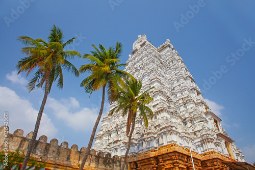 Sri Ranganatha Swamy Temple, Srirangam, Hinu Temple in Trichy, Tamil Nadu, India. Place of worship. photo