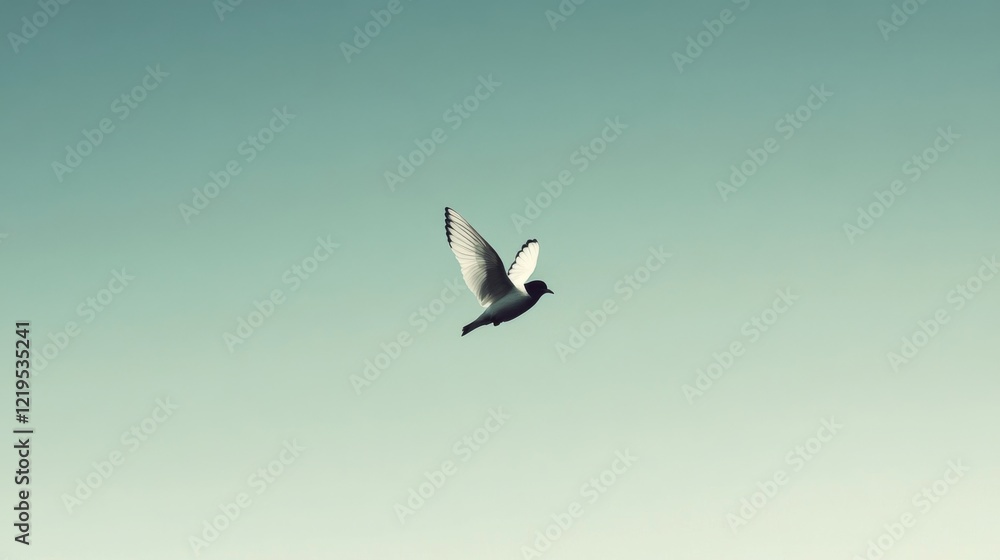 Obraz premium Single bird in flight against a clear sky.