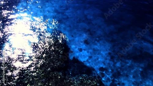 Sun kissed coral divers