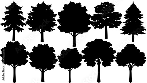 Forest tree silhouettes collection. Pine trees horizontal pattern panorama backgrounds. Vector illustration	
