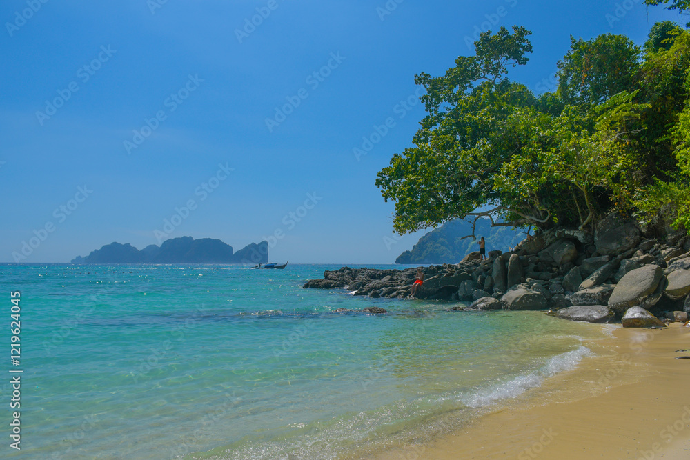 Obraz premium Phi phi island seascape with long tail boat in Krabi Thailand