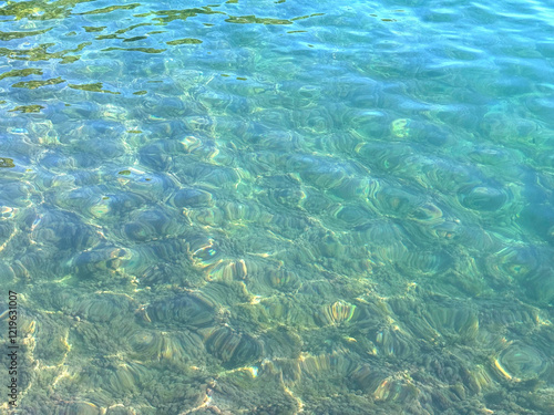 Wallpaper Mural Transparent sea water with algae at the bottom Torontodigital.ca