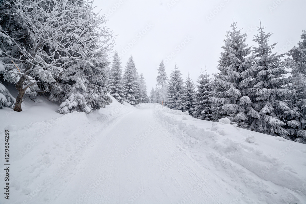 Karkonosze National Park in winter, Poland Karkonosze National Park in winter, Poland
