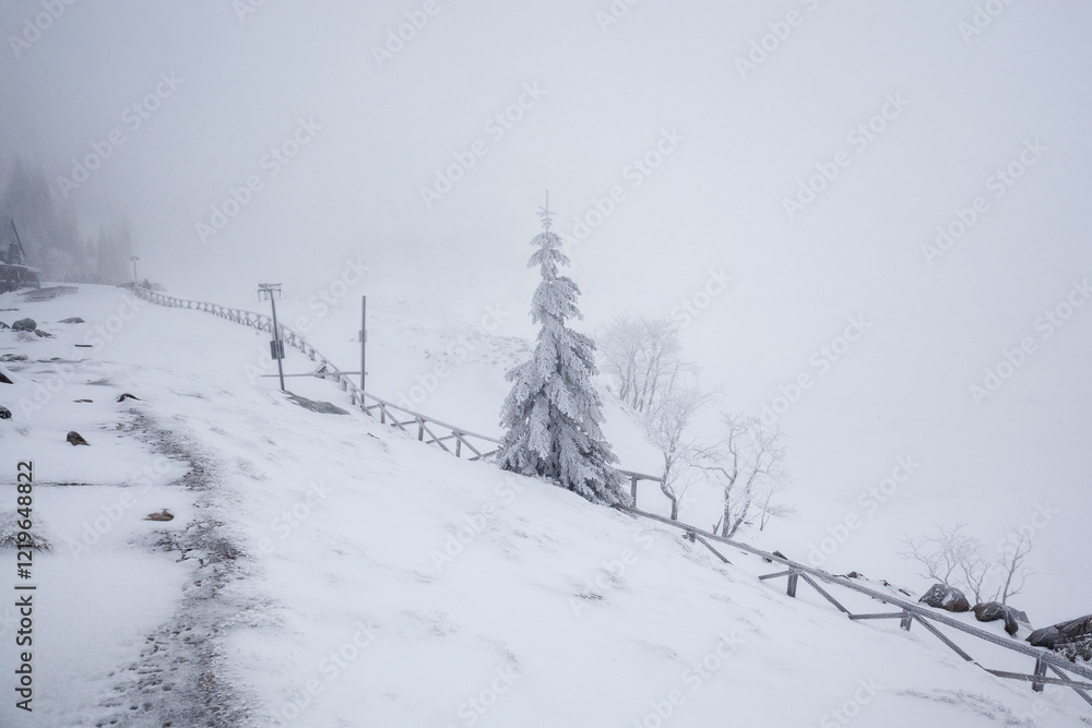 Fototapeta premium Karkonosze National Park in winter, Poland