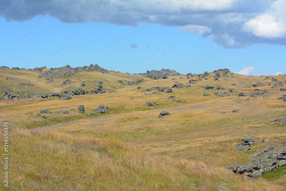 Obraz premium landscape with sky