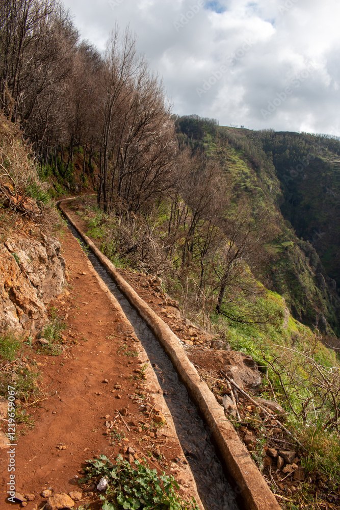 Obraz premium Levada in the mountains, Madeira, Portugal
