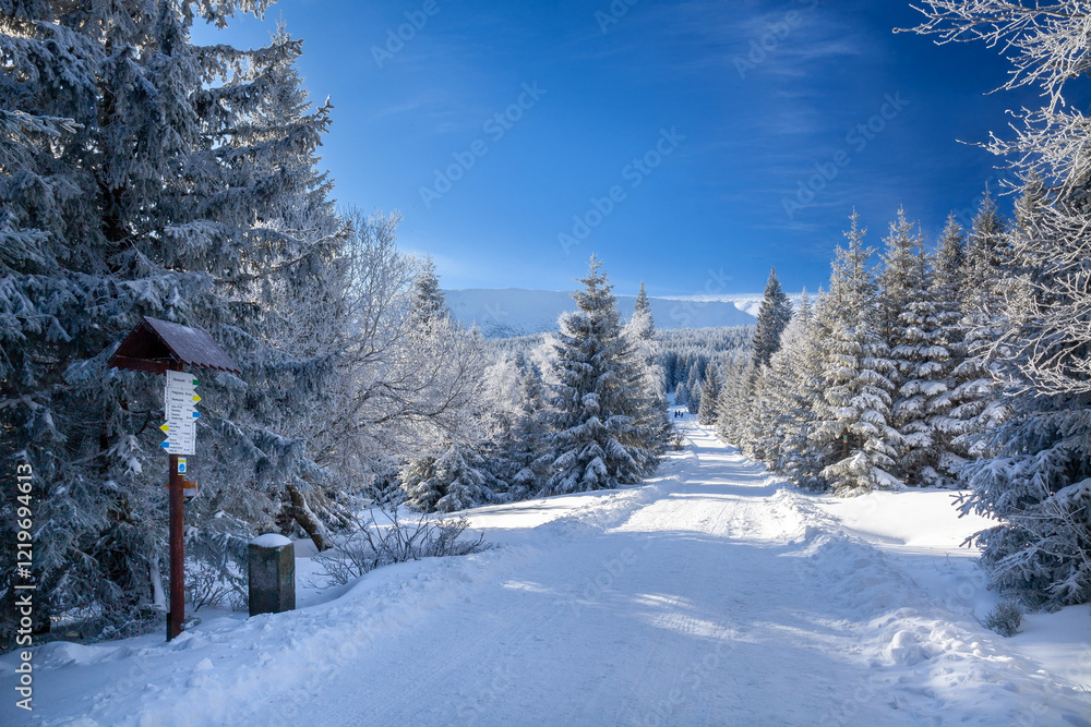 Obraz premium Karkonosze National Park on a clear day in winter, Poland