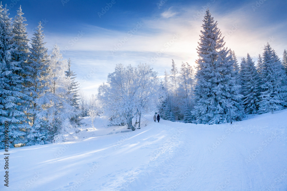 Obraz premium Karkonosze National Park on a clear day in winter, Poland