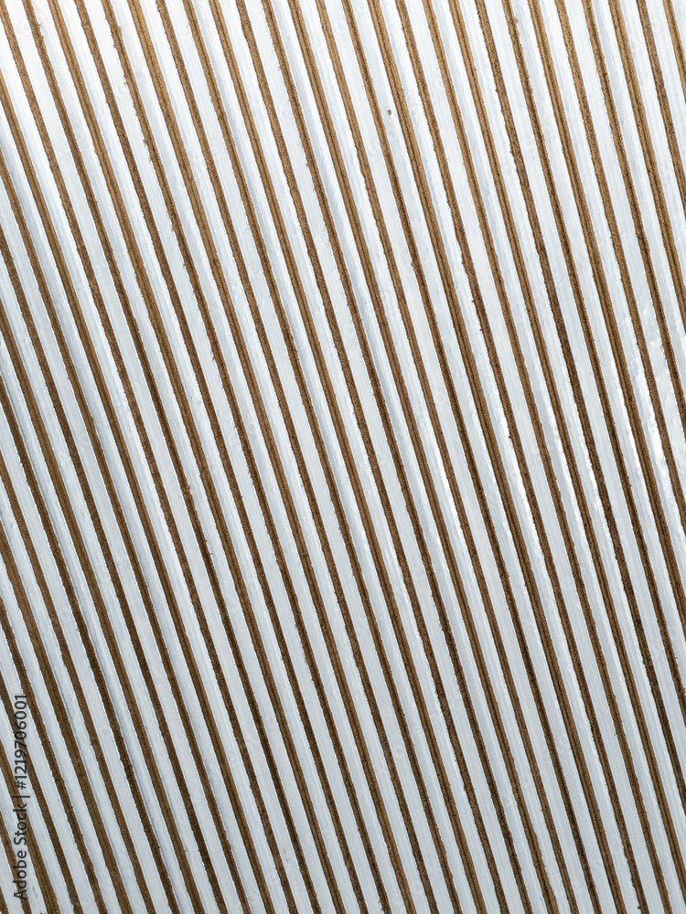 Fototapeta premium Plasticulture field