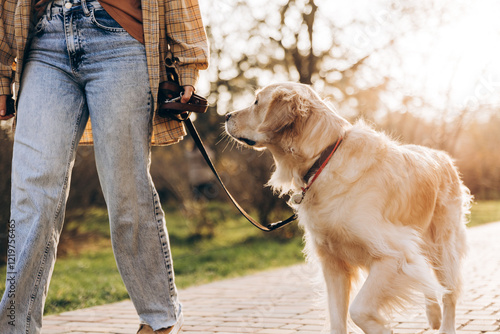 Φωτογραφία Woman walking golden retriever dog in park during sunset