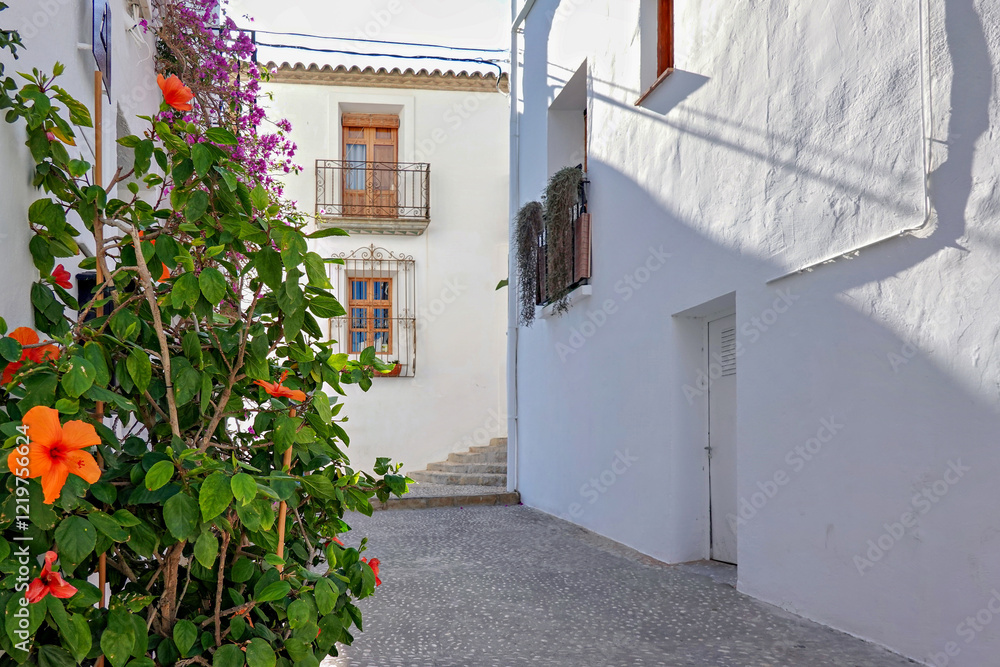 Fototapeta premium Narrow street with whitewashed houses in Altea old town. Architecture in small picturesque Altea town near Mediterranean sea, Alicante province, Valencia Community, Spain