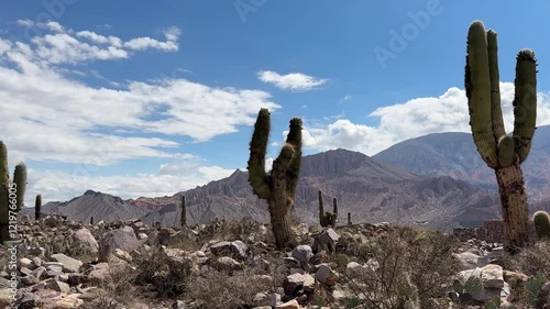 Pucara Tilcara Argentina Cactus Desert 4K photo