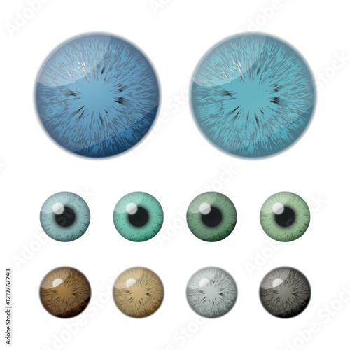 Realistic Vector Isolated Round Eyeballs Set With Various Pupil Colors. Detailed Eye Icons, Realistic Eyes, Eyeball Designs For Medical Illustrations, Eye Color Charts, Vision Studies, Eye Anatomy