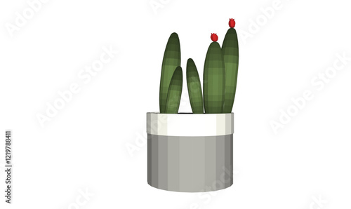 vector illustration of a succulent cactus plant to decorate the interior of the house