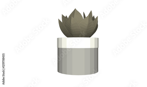 vector illustration of a succulent cactus plant to decorate the interior of the house