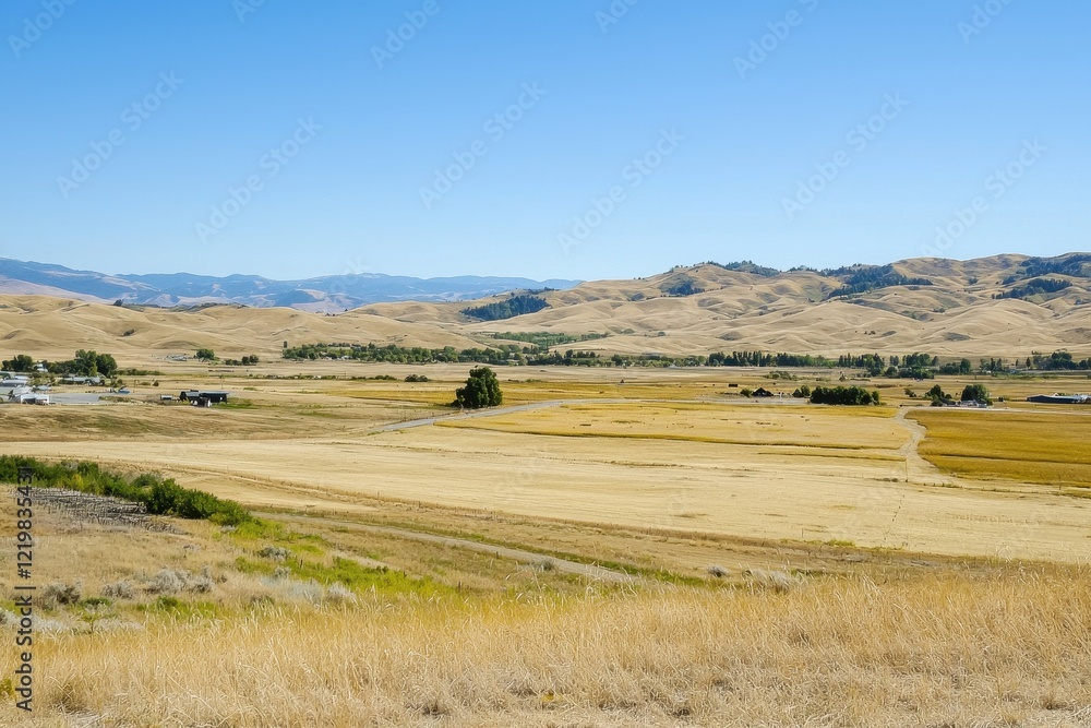 Obraz premium A drought affecting agricultural fields, with parched soil and withered crops under a cloudless sky. 